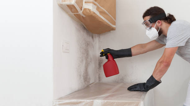 Professional Mold Remediation technician working in Teaticket, MA