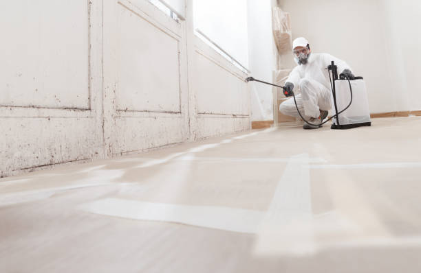 24/7 Emergency Mold Remediation experts in Teaticket, MA