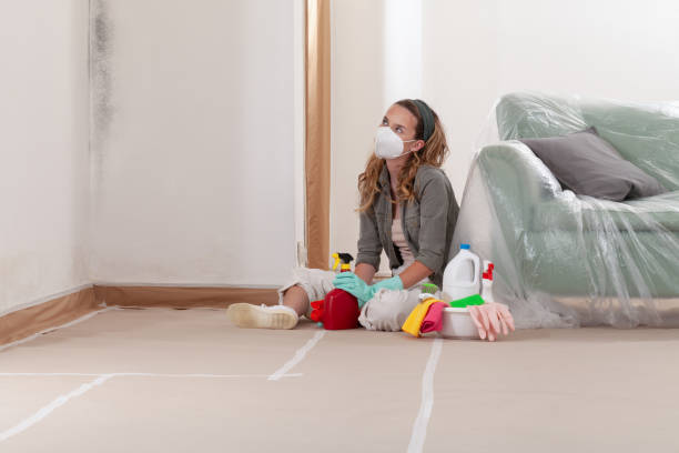 Reliable Mold Remediation contractor in Teaticket, MA by 24 Hour Mold Removal